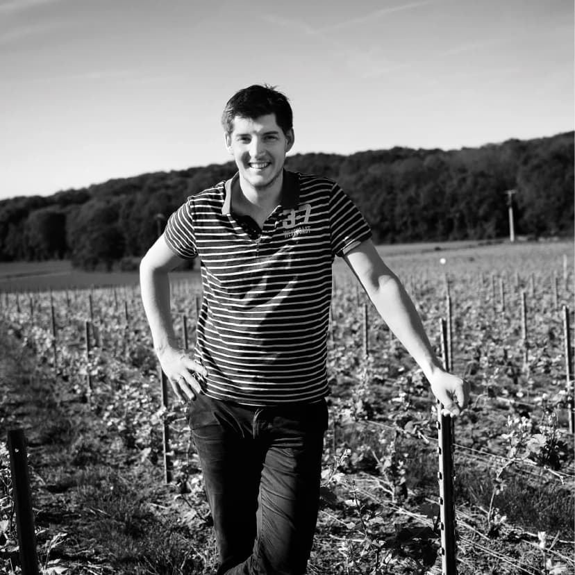 Vincent Cuillier - Vigneron