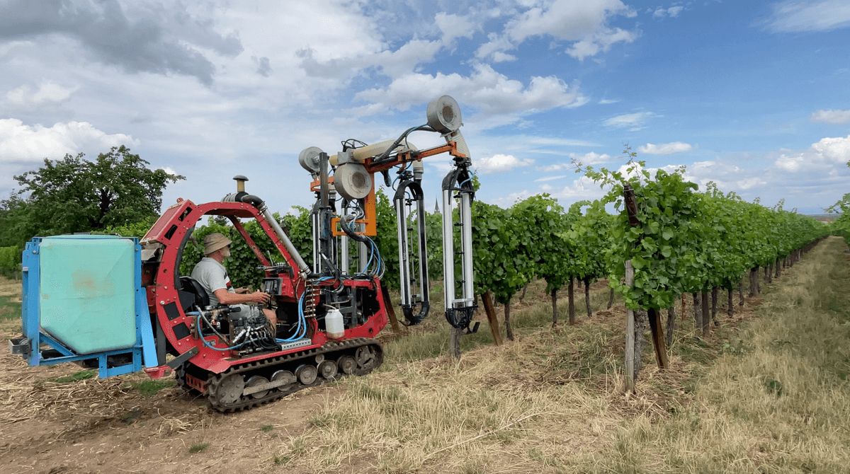 Équipement BLISS - Domaine Marcel Deiss