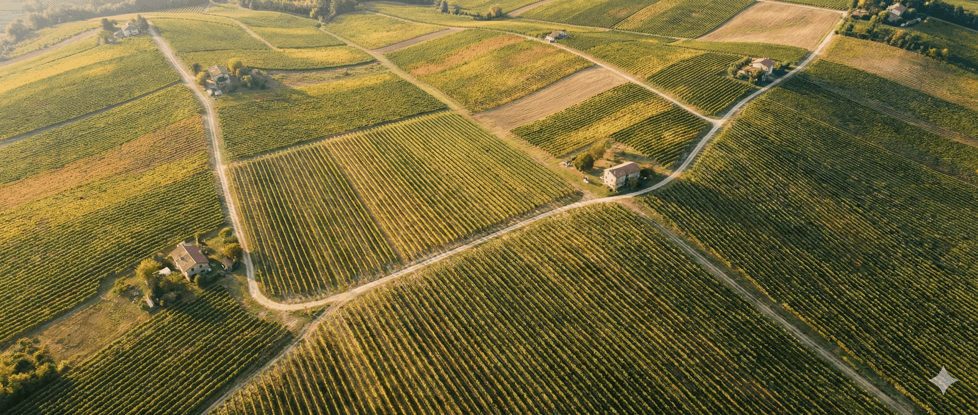 Réduction de la dérive en viticulture : un enjeu majeur pour les vignerons